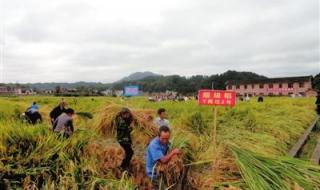 隆回属于哪个城市 隆回是哪个省哪个城市